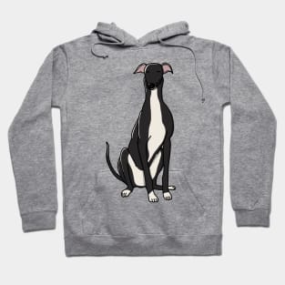 Cute Blue And White Greyhound Hoodie